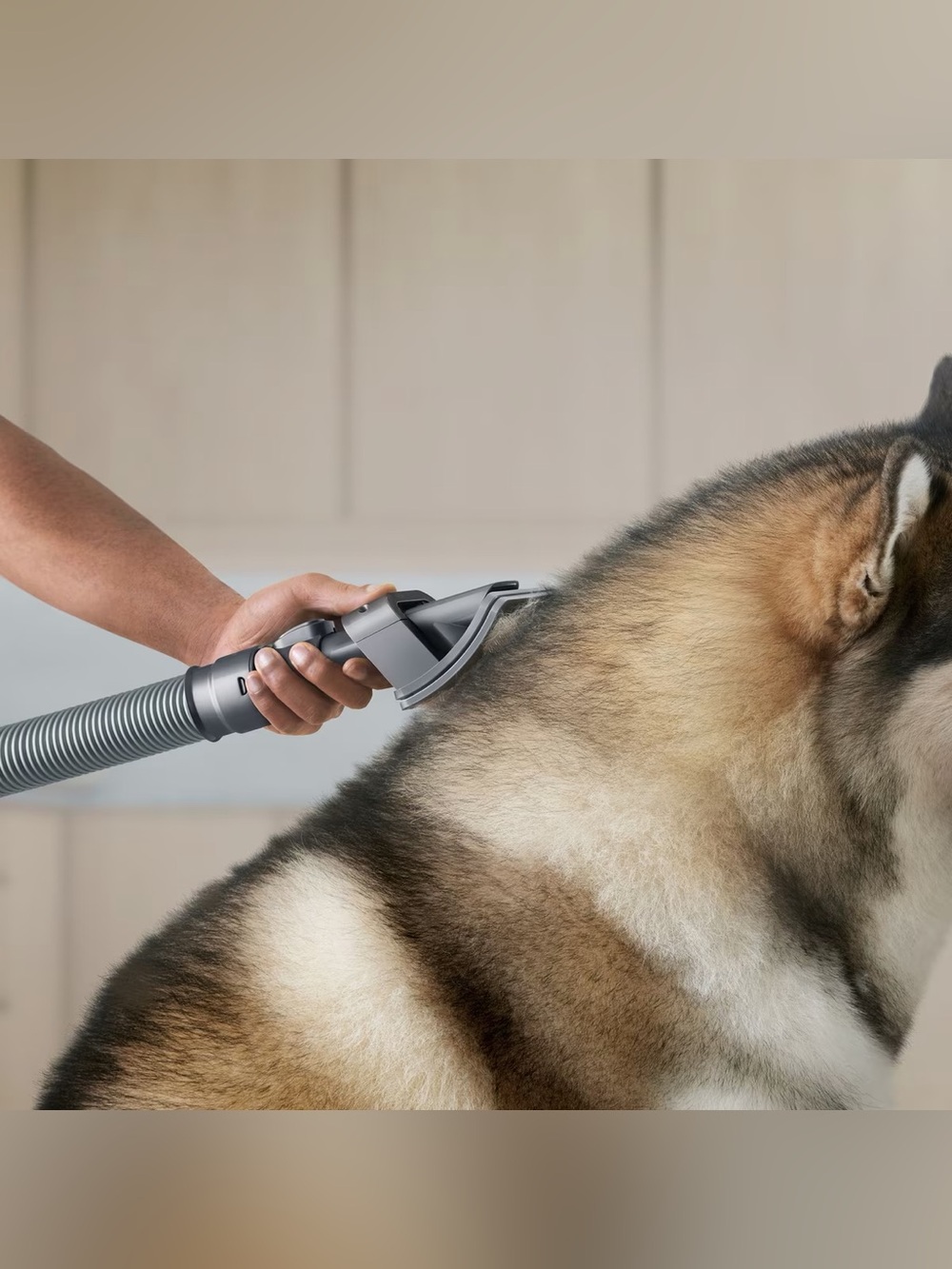 Dyson Dog, Cat & Small Pet Grooming Kit, Nickel
